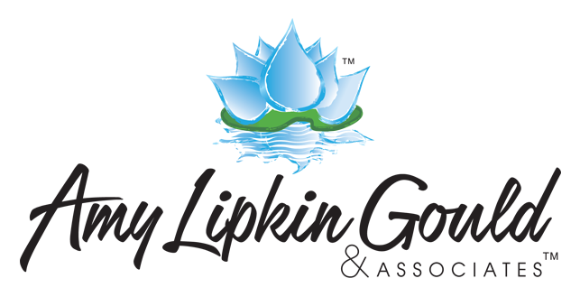 Amy Lipkin Gould & Associates